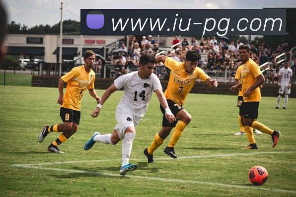 辅助工具 辅助工具